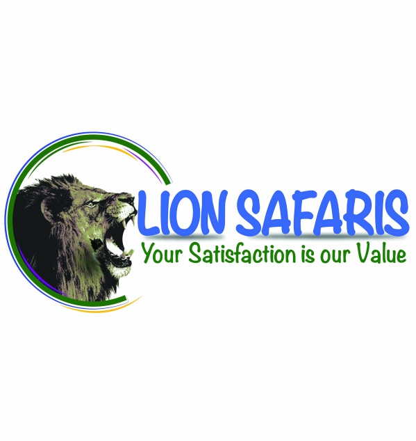 1636449256-77-lion-safaris