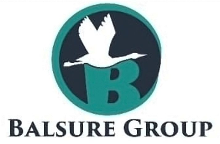 logo_balsureGroup